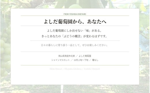シャインマスカット【2026年先行予約】糖度18度以上 朝採れ 1kg (2房または3房) ぶどうの概念が変わる よしだ葡萄園の極上品【10月上旬～10月下旬頃に順次発送】 / ぶどう シャインマスカット 果物 フルーツ 大粒 贈答品 贈り物 岡山県 真庭市【ysdb001】