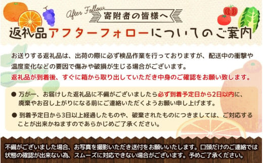 【2026年先行予約】【訳あり】NISSHOKU FARM ご家庭用ぶどう２種セット 2房 約1.0kg / ぶどう 詰め合わせ ブドウ 葡萄 シャインマスカット ピオーネ クイーンニーナ オーロラブラック 先行予約 フルーツ 訳あり 果物 大粒サイズ 【nisfarm020-01】