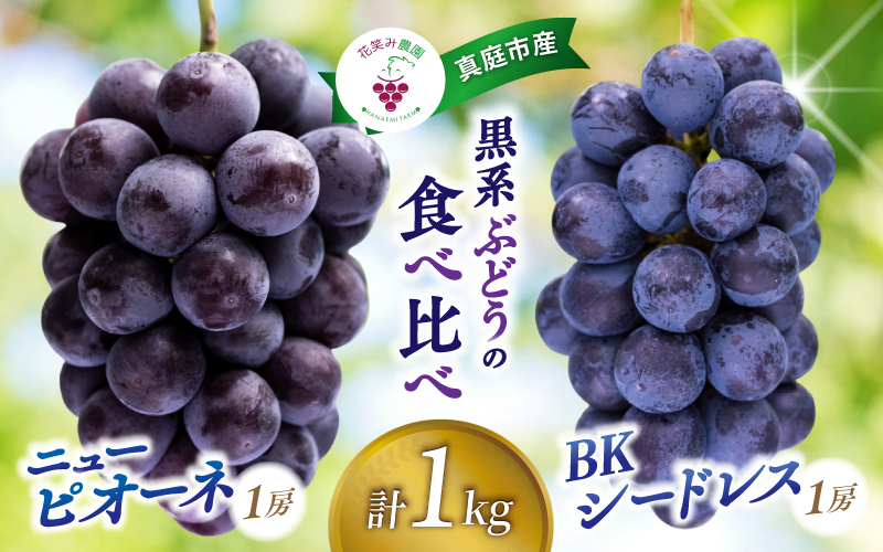 【2026年先行予約】 岡山 花笑み農園の『ニューピオーネ&BKシードレス』1kg(2房)  2026年9月中旬～ 受付順に発送予定 【hana026-02】