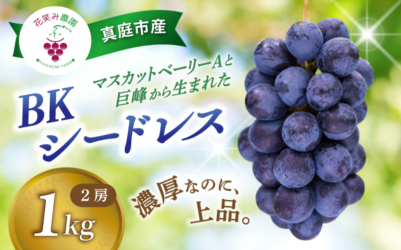 【 2026年 先行予約 】 岡山 BKシードレス 1kg（2～3房） 贈答用 花笑み農園 | ぶどう ブドウ 種無しぶどう 国産 果物 くだもの 葡萄 フルーツ 1キロ 甘い 糖度 高い 岡山県産 産地直送 産直 農家直送 冷蔵 岡山県 真庭市 【hana027-03】
