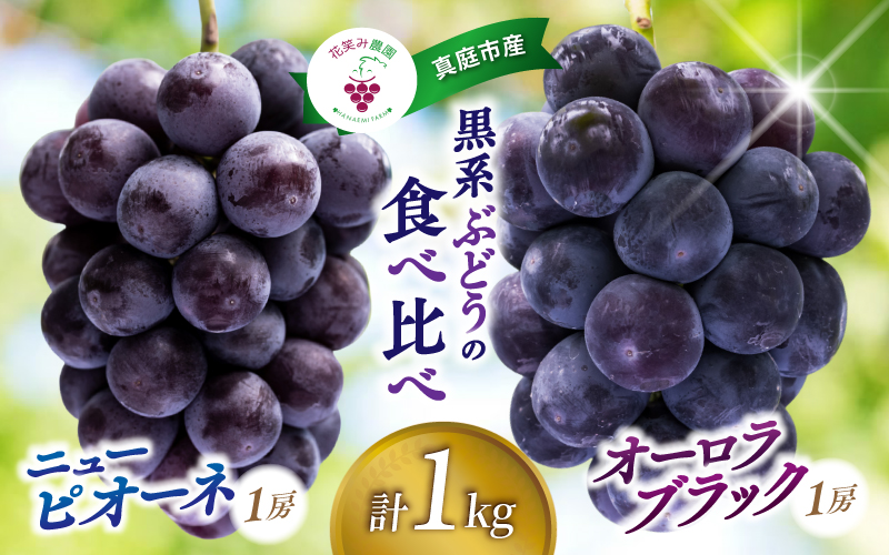 岡山県産ぶどう 【2026年先行予約】 ニューピオーネ オーロラブラック 食べ比べ 2種セット 1kg 2房 | ピオーネ オーロラブラック ぶどう 葡萄 果物 ぶどう 除草剤不使用 くだもの フルーツ 産地直送 農家直送 詰合せ 花笑み農園 岡山県【hana032-02】