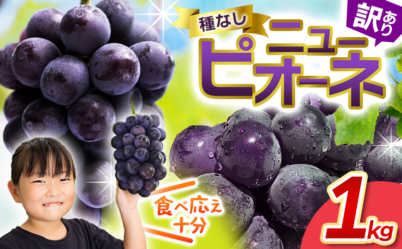 【2026年の先行予約です】 ぶどう 訳あり 花笑み農園の ニューピオーネ 1kg hana33. / ぶどう ブドウ 葡萄 岡山 ピオーネ 先行予約 フルーツ 果物 真庭市 【hana033-02】