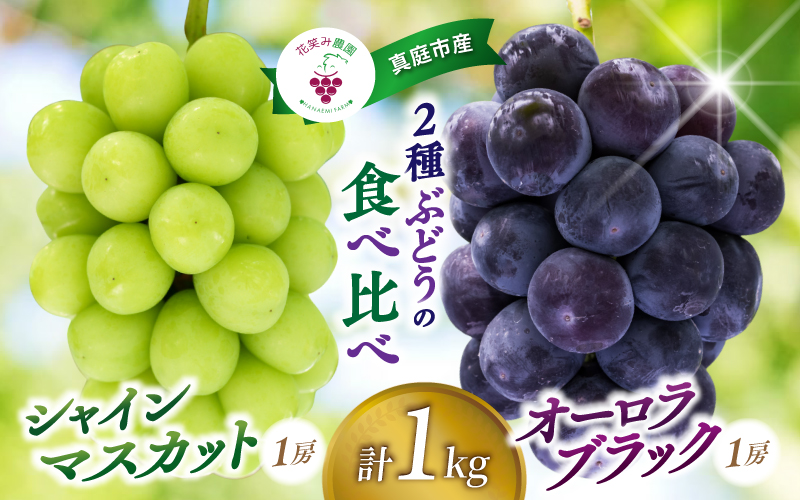 岡山県産ぶどう 【2026年先行予約】シャインマスカット オーロラブラック 食べ比べ 2種セット 1kg 2房 | 除草剤不使用 ぶどう 花笑み農園 お取り寄せ 産地直送 2026年9月上旬～ 受付順に発送予定 種なし ぶどう 葡萄 果物 数量限定 期間限定 岡山 真庭市 【hana067-02】