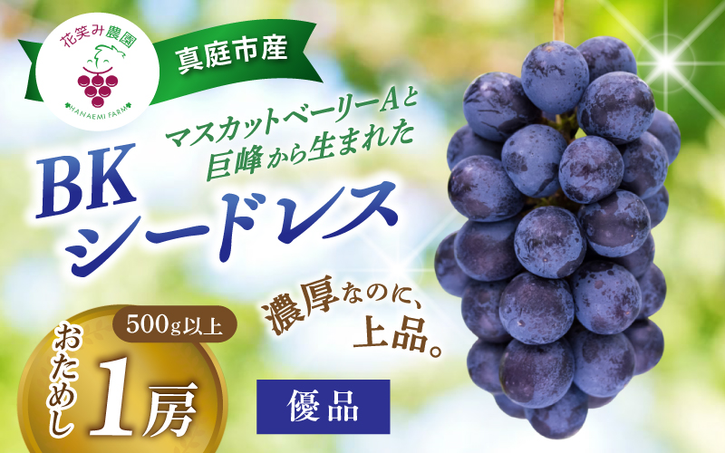 【 2026年 先行予約 】 岡山 BKシードレス 優品 500g以上（中1房） 贈答用 花笑み農園 | ぶどう ブドウ 種無しぶどう 国産 果物 くだもの 葡萄 フルーツ お試し 甘い 糖度 高い 岡山県産 産地直送 産直 農家直送 冷蔵 岡山県 真庭市  【hana083-01】