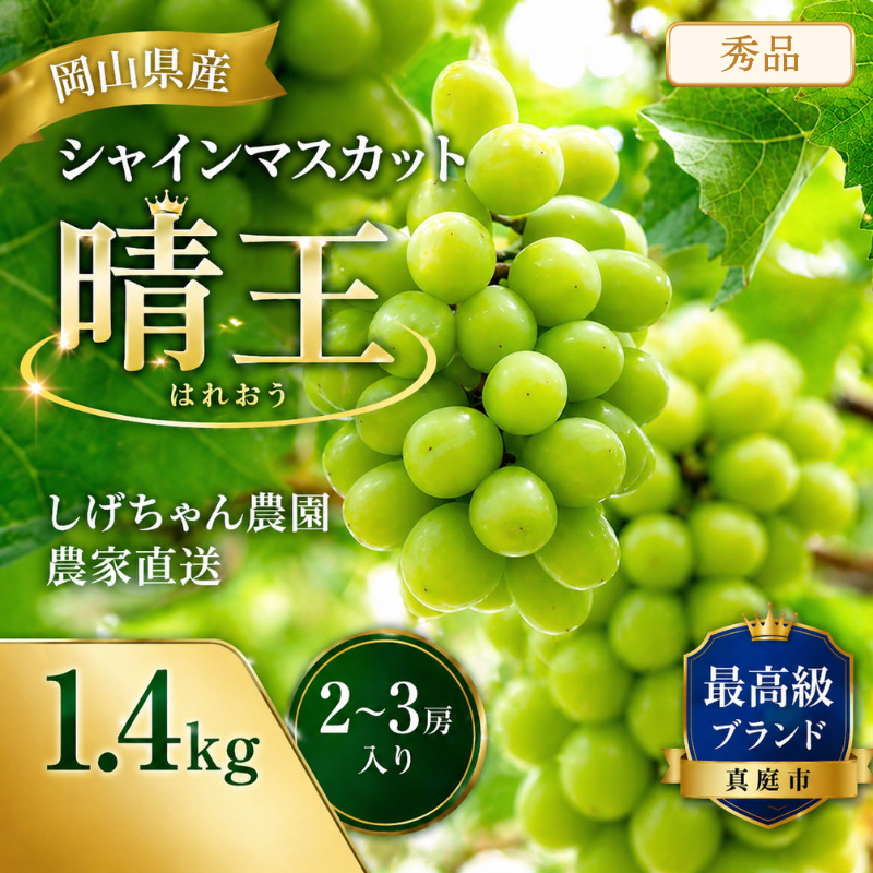しげちゃん農園の シャインマスカット「晴王」 1.4kg前後（2～3房入） 【2026年10月上旬～順次発送】 岡山県真庭市産 ぶどう シャインマスカット 高級 フルーツ 【shifarm001-02】
