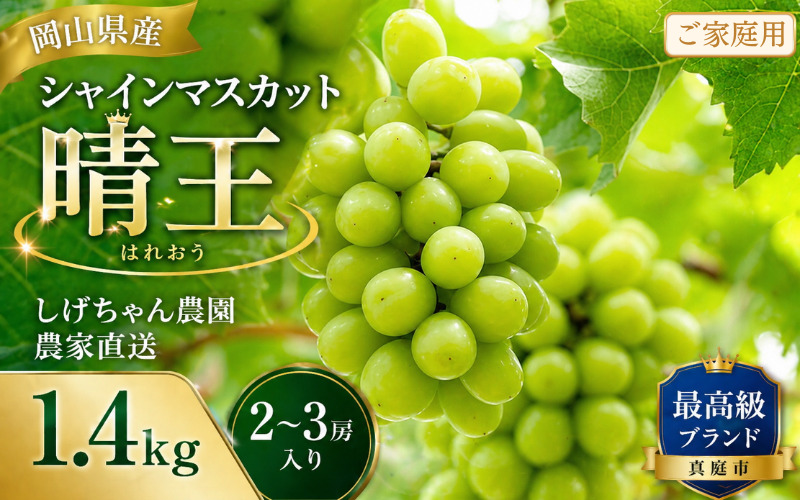 【ご家庭用】 しげちゃん農園の シャインマスカット「晴王」 1.4kg前後（2～3房入） 【2026年10月上旬～順次発送】 岡山県真庭市産 ぶどう シャインマスカット 訳あり フルーツ 【shifarm002-02】
