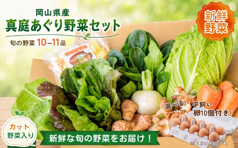 まにわの野菜 真庭あぐり野菜セット 10～11品 カット野菜入り 平飼い卵付き  / 詰め合わせ 産地直送 岡山県 真庭市 新鮮 あぐりガーデン 産直工房 国産【配送不可地域：北海道／沖縄県／離島】【jujy055-01】