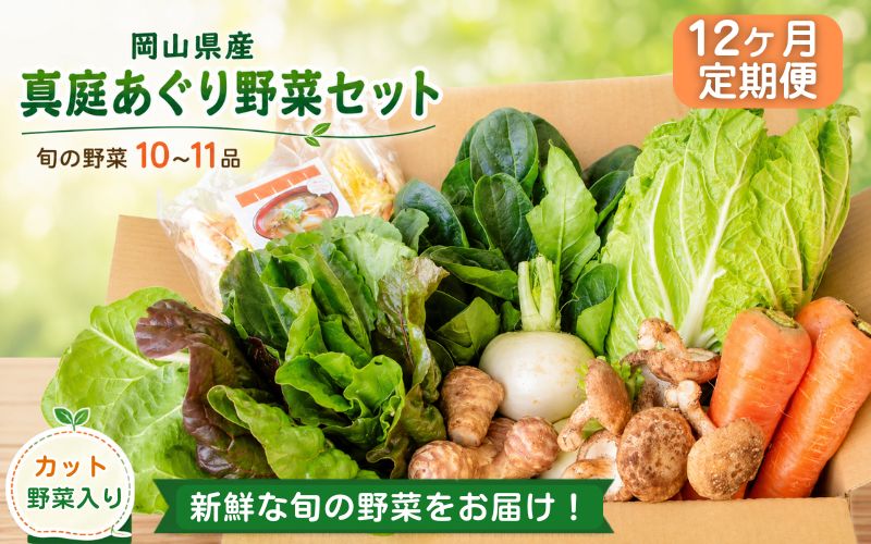 【12カ月定期便】真庭あぐり野菜セット カット野菜が1品入る 10～11品 / 産地直送 農家 お試し 岡山県 新鮮 あぐりガーデン 国産 【配送不可地域：北海道／沖縄県／離島】 【jujy-tkb053】