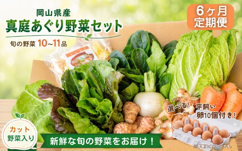 【6カ月定期便】真庭あぐり野菜セット カット野菜が1品入る 10～11品 平飼い卵付き / 産地直送 農家 お試し 岡山県 新鮮 あぐりガーデン 国産 【配送不可地域：北海道／沖縄県／離島】 【jujy-tkb063】