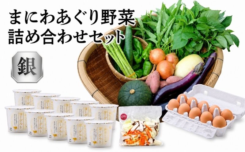 真庭あぐり野菜セット 詰め合わせセット 銀 （野菜10品・卵・ヨーグルト） / 産地直送 農家 お試し 岡山県 旬野菜 新鮮 あぐりガーデン 国産 蒜山 ジャージー牛 たまご 真庭市 カット野菜 平飼い卵 新鮮 yasai019 【配送不可地域：北海道／沖縄県／離島】 【jujy027-02】