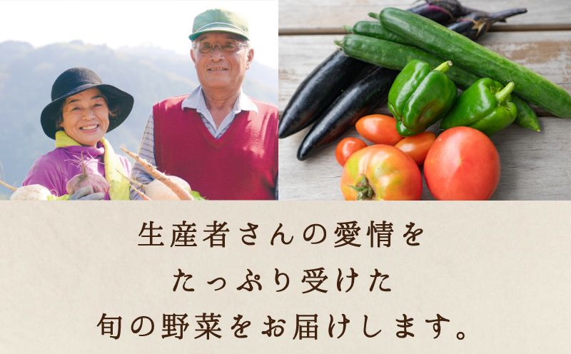 ãµãããšãç¯ä»ã®ãããå€ã (2026幎7æäžæ¬ïœ8æäžæ¬çºéäºå®) / å
è¡äºçŽ ç£å°çŽé 蟲家 æ°é®® ãããã¬ãŒãã³ å€éè ã«ããéè åœç£ ããŸã 平飌ãåµ å²¡å±±ç çåºåž yasai034 ãé
éäžå¯å°åïŒåæµ·éïŒæ²çžçïŒé¢å³¶ã ãjujy091-01ã