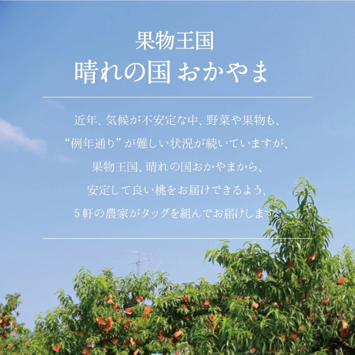 岡山白桃 加納岩 【特秀品】 1.5kg前後 先行予約 糖度センサー選別 momo67 / 早生 白桃 はくとう 加納岩白桃 桃 もも モモ フルーツ 高級白桃 6月 7月 贈答 ギフト 産直 産地直送 高級 フルーツ 果物 くだもの プレゼント  【配送不可地域：北海道／沖縄県／離島】 【jujy070-01】