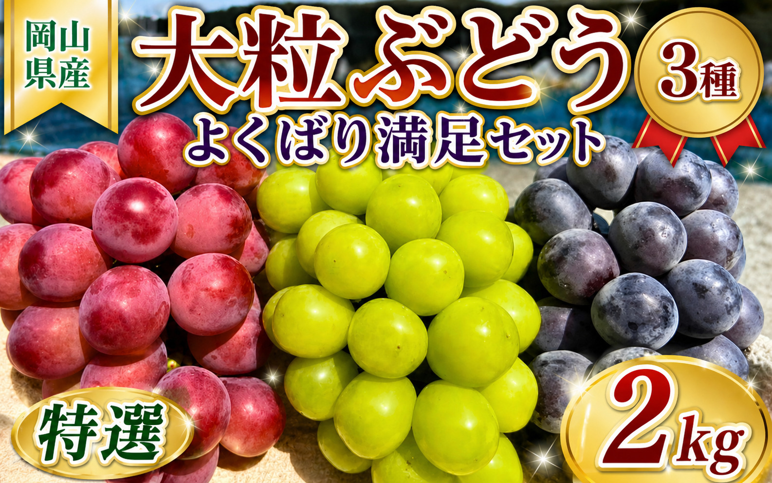 【2026年先行予約】 NIHOKU　FARM　特選　大粒ぶどう３種セット（シャインマスカット入り）岡山 ぶどう 真庭市 高級 ギフト 贈り物 ピオーネ クイーンニーナ 【nisfarm010-02】
