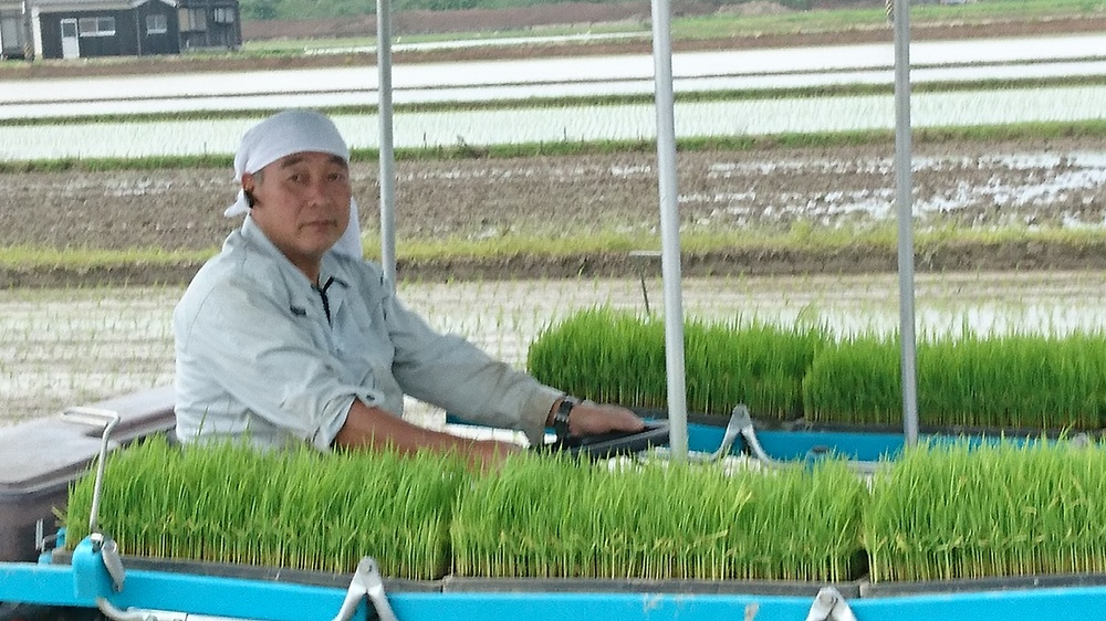 【令和8年産 先行予約】 食味ランキング特A 3回受賞の美味しいお米 岡山県産にこまる 玄米 10kg / お米 特A にこまる 岡山県産 【mabo001-01】