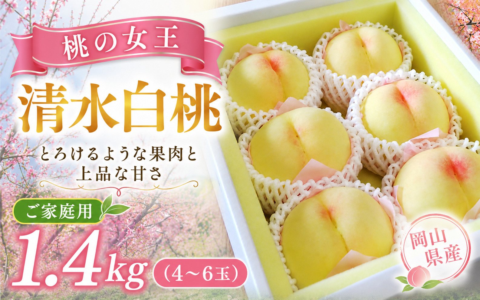 【2026年先行予約】桃 清水白桃 約1.4kg（4～6玉）岡山県産 ご家庭用 もも 白桃 フルーツ 果物 きびもも園【kbmm001】