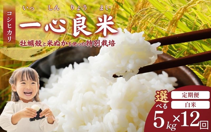 ＜全12回定期便＞ 真庭市産コシヒカリ 米ぬか 牡蠣栽培米 『 一心良米 』 白米 5kg×12回 【令和7年産】 / お米 いっしんりょうまい 岡山県 こしひかり 人気 ブランド 2025年産 【tkns-tkb028-cho】