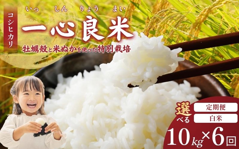 ＜全6回定期便＞ 真庭市産コシヒカリ 米ぬか 牡蠣栽培米 『 一心良米 』 白米10kg (5kg×2袋）×6回 令和7年産 / お米 いっしんりょうまい 岡山県 こしひかり 人気 ブランド 2025年産 【tkns-tkb034-cho】