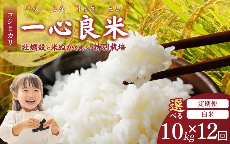＜全12回定期便＞ 真庭市産コシヒカリ 米ぬか 牡蠣栽培米 『 一心良米 』 白米 10kg (5kg×2袋）×12回 令和7年産 / お米 いっしんりょうまい 岡山県 こしひかり 人気 ブランド2025年産 【tkns-tkb035-cho】