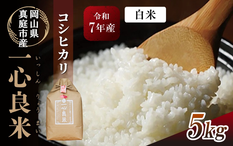 真庭市産 コシヒカリ 米ぬか 牡蠣殻栽培 一心良米 白米 5kg / お米 岡山県 こしひかり 人気 ブランド 令和7年産 2025年産 【tkns009-01-cho】