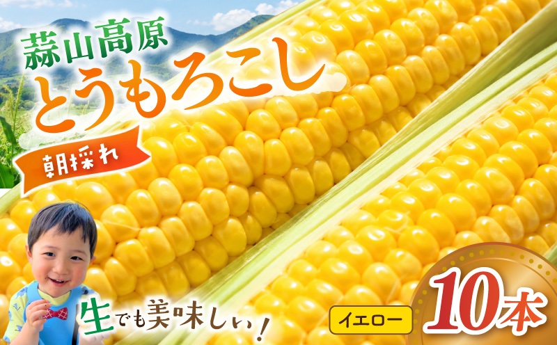 【先行予約】 朝採れ 蒜山高原 とうもろこし イエロー10本 | 7月下旬～8月上旬頃出荷予定 数量限定 人気 新鮮 スイートコーン トウモロコシ 高糖度 甘い 夏野菜 岡山県 真庭市 産地直送 ギフト 【配送不可地域：北海道／沖縄県／離島】【jujy001-02】
