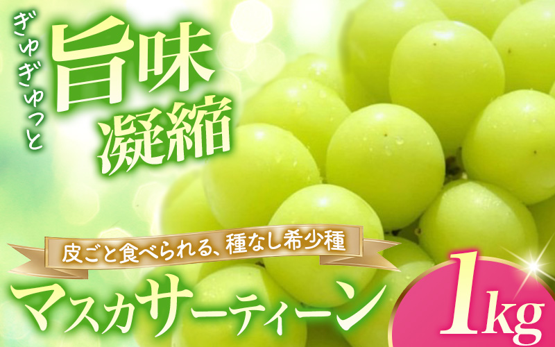 マスカサーティーン【シャインマスカット一族の希少品種】1kg（2房または3房）高級 シャインマスカット 朝どれ直送【10月上旬から順次発送】ぶどう 葡萄 シャインマスカット マスカット マスカサーティーン 種無し 皮ごと 果物 フルーツ 岡山県 真庭市【ysdb004】