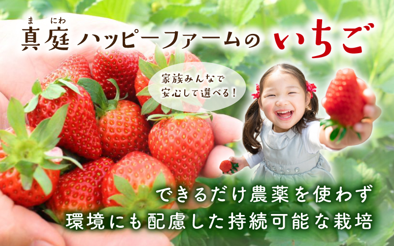 【贈答用】 高級いちご よつぼし すず 品種おまかせセット （15粒 × 1箱） ゆりかご入り / いちご イチゴ ストロベリー 苺 こだわり 新鮮 産直 産地直送 サステナブル 果物 フルーツ くだもの ギフト プレゼント 贈答 岡山県 真庭市 ハッピーファーム 【hfpr002-01】