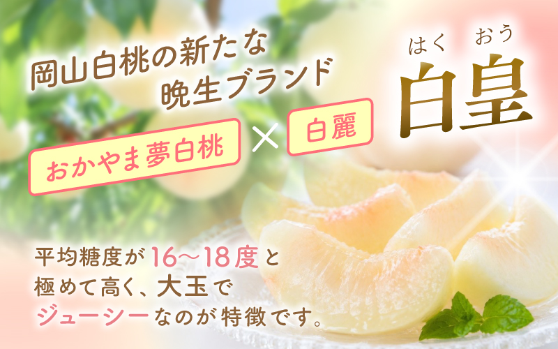 【2026年先行予約】 岡山県産 白皇 3.8kg 訳アリ 白桃 はくおう 花田青果【8月中旬～9月初旬まで順次発送予定】/ 桃 もも モモ 果物フルーツ 訳あり品 岡山県【hnds008】