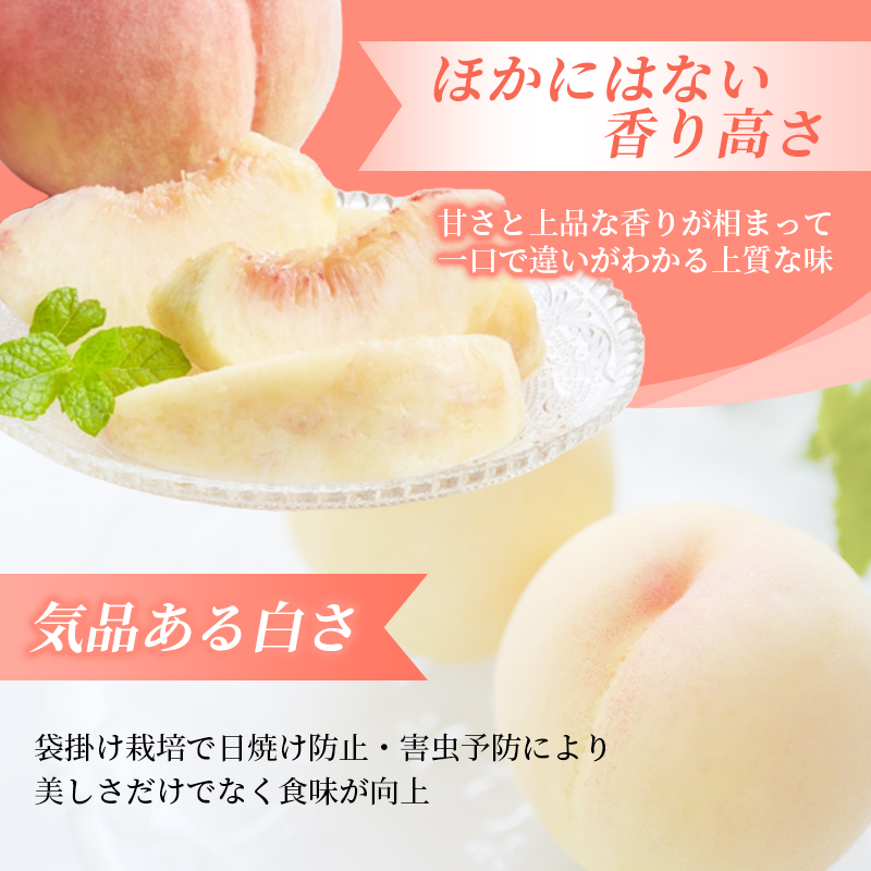 【2026年先行予約】 岡山県産 白皇 3.8kg 化粧箱入り・贈答用 高級 白桃 はくおう 花田青果【8月中旬～9月初旬まで順次発送予定】/ 桃 もも モモ 果物フルーツ 贈答品 贈り物 岡山県【hnds006】