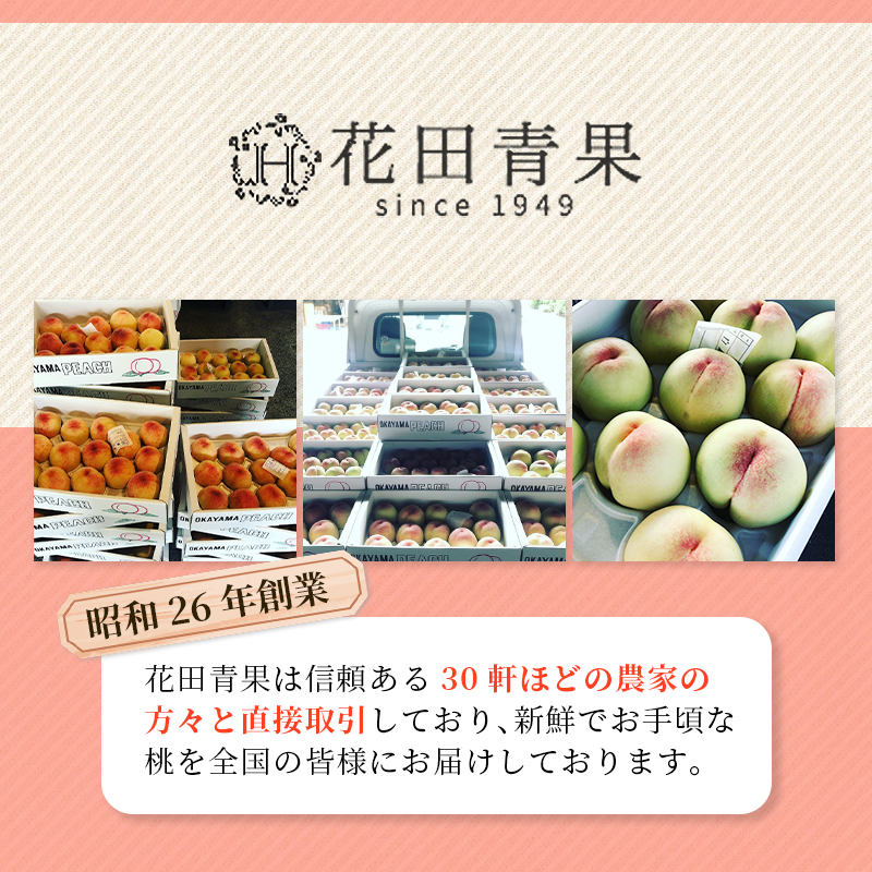 【2026年先行予約】 岡山県産 白皇 3.8kg 化粧箱入り・贈答用 高級 白桃 はくおう 花田青果【8月中旬～9月初旬まで順次発送予定】/ 桃 もも モモ 果物フルーツ 贈答品 贈り物 岡山県【hnds006】