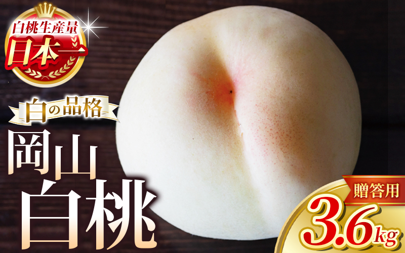 【2026年先行予約】 岡山白桃 3.6kg 化粧箱入り・贈答用 高級 白桃 花田青果【7月下旬～9月下旬まで順次発送予定】/ 桃 もも モモ 果物フルーツ 贈答品 贈り物 岡山県【hnds002】