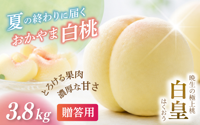 【2026年先行予約】 岡山県産 白皇 3.8kg 化粧箱入り・贈答用 高級 白桃 はくおう 花田青果【8月中旬～9月初旬まで順次発送予定】/ 桃 もも モモ 果物フルーツ 贈答品 贈り物 岡山県【hnds006】
