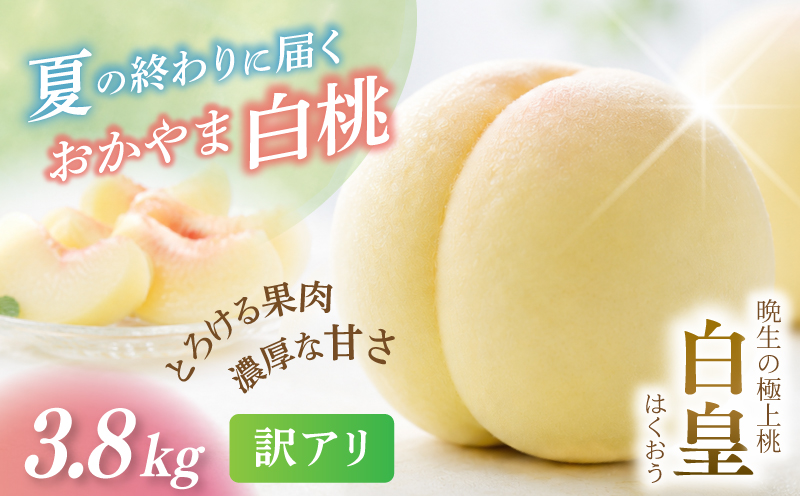 【2026年先行予約】 岡山県産 白皇 3.8kg 訳アリ 白桃 はくおう 花田青果【8月中旬～9月初旬まで順次発送予定】/ 桃 もも モモ 果物フルーツ 訳あり品 岡山県【hnds008】