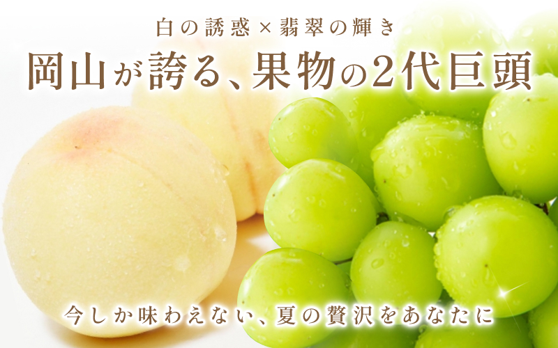ã2026幎å
è¡äºçŽã 岡山çç£ ã·ã£ã€ã³ãã¹ã«ããïŒæ¡ ã»ãã çŽ3kg è±ç°éæã8æäžæ¬ïœ9æäžæ¬ãŸã§é 次çºéäºå®ã/ è¡è ã¶ã©ã æç©ãã«ãŒã è©°ãåãããhnds012ã