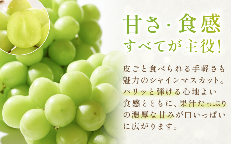 ã2026幎å
è¡äºçŽã 岡山çç£ ã·ã£ã€ã³ãã¹ã«ããïŒæ¡ ã»ãã çŽ3kg è±ç°éæã8æäžæ¬ïœ9æäžæ¬ãŸã§é 次çºéäºå®ã/ è¡è ã¶ã©ã æç©ãã«ãŒã è©°ãåãããhnds012ã