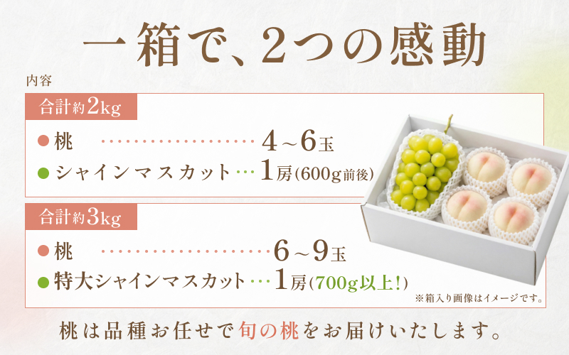 ã2026幎å
è¡äºçŽã 岡山çç£ ã·ã£ã€ã³ãã¹ã«ããïŒæ¡ ã»ãã çŽ3kg è±ç°éæã8æäžæ¬ïœ9æäžæ¬ãŸã§é 次çºéäºå®ã/ è¡è ã¶ã©ã æç©ãã«ãŒã è©°ãåãããhnds012ã