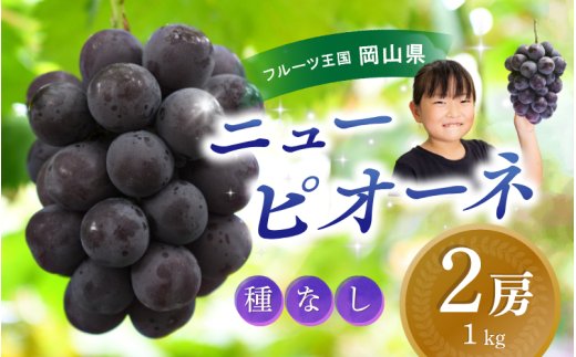 ＼2026年の先行予約です／ ぶどう 岡山 花笑み農園『ニューピオーネ』1kg（2房） hana14 贈答 岡山 真庭 ピオーネ 高級 1kg 贈答 2025 真庭市 大粒 葡萄 果物 フルーツ 濃厚ピオーネ 人気 数量限定 2026年9月上旬〜 受付順に発送予定 【hana014-03】