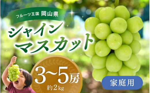 【2027年先行予約】 ぶどう 岡山 花笑み農園『シャインマスカット』 家庭用 約2kg（3～5房） 岡山 真庭 シャインマスカット 家庭用 真庭市 数量限定 9月下旬～ 受付順に発送予定 【hana061-03】