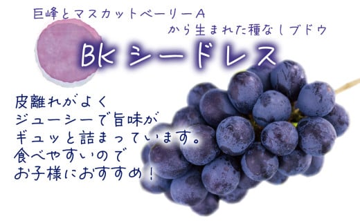 ぶどう【2027年先行予約】＜除草剤不使用＞ぶどう 食べ比べ 2種セット 1kg 2房 ニューピオーネ BKシードレス ピオーネ ぶどう 葡萄 果物 くだもの フルーツ 産地直送 農家直送 詰合せ 花笑み農園 岡山県【hana026-03】