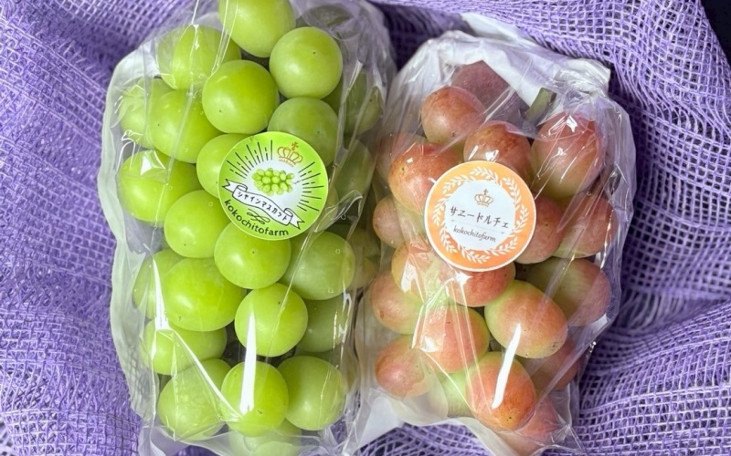 シャインマスカット＆サニードルチェ【2026年先行予約】ぶどう 食べ比べ 除草剤不使用 家庭用 合計2房 1kg以上 ぶどう 葡萄 シャインマスカット マスカット サニードルチェ くだもの 果物 農家直送 新鮮 種なし 皮ごと 岡山県 【koko018】