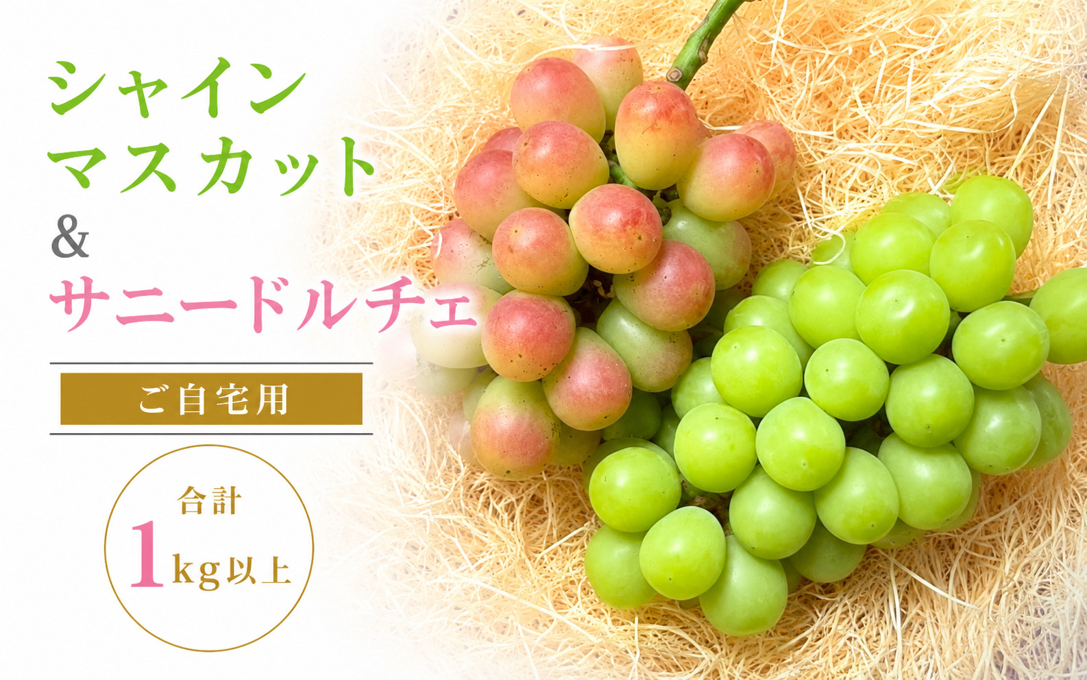 シャインマスカット＆サニードルチェ【2026年先行予約】ぶどう 食べ比べ 除草剤不使用 家庭用 合計2房 1kg以上 ぶどう 葡萄 シャインマスカット マスカット サニードルチェ くだもの 果物 農家直送 新鮮 種なし 皮ごと 岡山県 【koko019】