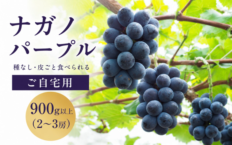 ナガノパープル【2026年先行予約】除草剤不使用 家庭用 2～3房 900g以上 ぶどう 葡萄 くだもの 果物 ナガノパープル 農家直送 新鮮 種なし 皮ごと 岡山県 真庭市 【koko019】