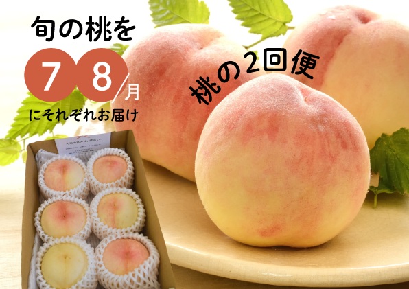 旬の桃の食べ比べを楽しむ、桃の２回便！(定期便) (岡山県産)  きよとうファーム 【2026年先行予約】【KF-T025-01】