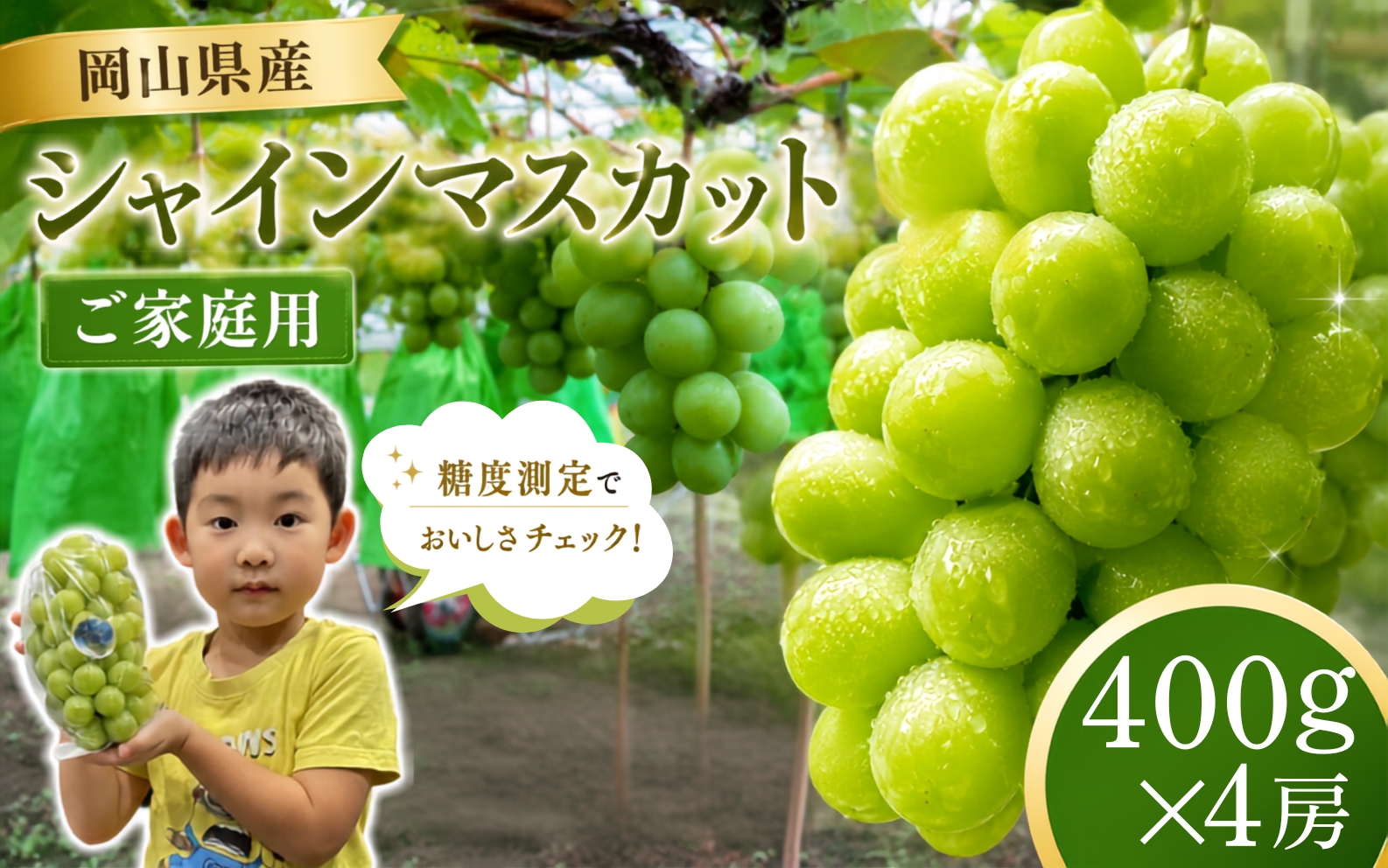 岡山県産シャインマスカット ご家庭用 パック 400g×4房 【2026年先行予約】 糖度測定/ ぶどう 岡山  真庭市 シャインマスカット 果物 贈答 人気 産地直送 国産 数量限定【bfyd005】