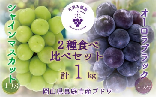 【2026年先行予約】岡山 花笑み農園の『シャインマスカット＆オーロラブラック』 1㎏（2房） 【hana067-02】