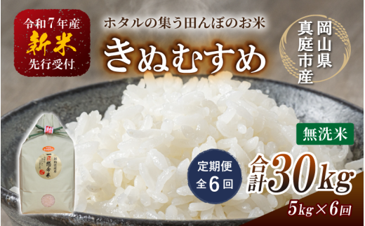 ＜定期便 全6回＞令和7年新米 真庭市産きぬむすめ 無洗米 5kg×6回 / お米 国産 岡山県 米 人気 ブランド 2025年産 【tkns-tkb020】