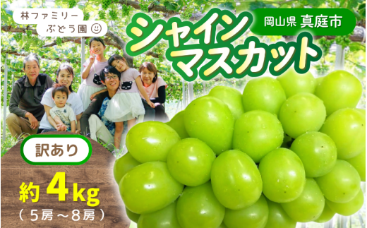 【訳あり】 ※2026年の予約です！※ 岡山県産 林ファミリーのシャインマスカット 約4kg（約5～8房）【2026年先行予約】 / ブドウ ぶどう 岡山 真庭市 マスカット 葡萄 果物 フルーツ 新鮮 人気 数量限定 お買い得 家庭用 お試し たっぷり ぶどう専門 【hfbd023-02】