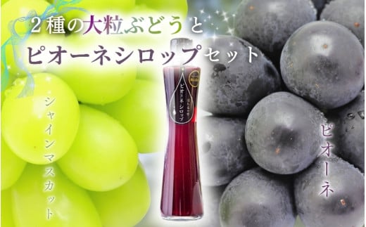 【2026年先行予約】NISSHOKU　FARM　特選　大粒ぶどうとピオーネシロップのセット（シャインマスカット入り）岡山 【nisfarm011-02】