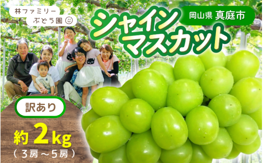 【訳あり】 ※2026年予約！※ 岡山県産 林ファミリーのシャインマスカット 約2kg（約3～5房）【2026年先行予約】 / ぶどう ブドウ シャインマスカット 葡萄 岡山 真庭市 果物 フルーツ 新鮮 人気 数量限定 お買い得 家庭用 お試し たっぷり ぶどう専門 【hfbd022-02】