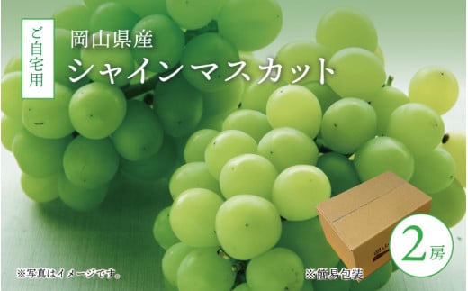 真庭市産 シャインマスカット 自宅用 2房 / (2026年9月中旬以降発送予定) ぶどう 岡山 真庭 大粒 葡萄 シャインマスカット 果物 フルーツ ブドウ 人気 数量限定 ご家庭用 皮ごと マスカット 産地直送 お買い得 新鮮 岡山名産 定番 【配送不可地域：北海道／沖縄県／離島】 shinemuscat06 【jujy013-02】