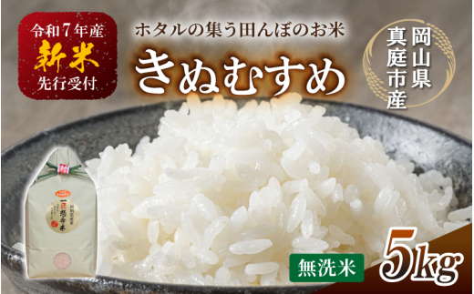 令和7年新米 真庭市産きぬむすめ 無洗米 5kg / お米 国産 岡山県 米 人気 ブランド 2025年産 【tkns007-01】